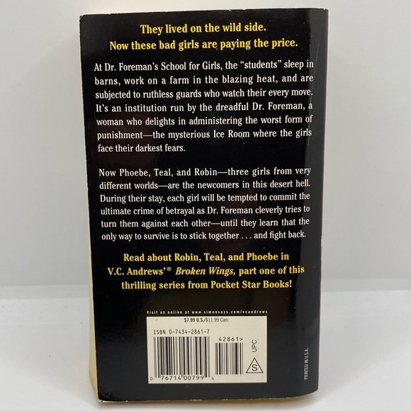 V..C. Andrews 4 Book Bundle Hidden Leaves Rain Midnight Flight Lightning Strikes - Picture 5 of 15